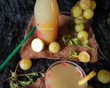 આમળાનું શરબત(Amla sharbat recipe in Gujarati) રેસીપી સ્ટેપ4ફોટો