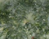 Foto langkah ke 5 dari resep Sayur daun singkong.