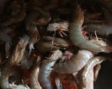 Foto langkah ke 2 dari resep Udang tiger saus padang.