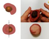 Une image de l'étape 9 de Nerikiri Wagashi: 