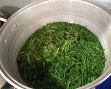 Foto del paso 1 de la receta: Romeritos en mole