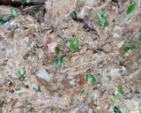 A picture of step 7 of Kachay Gosht ke Kabab.