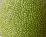 Foto langkah ke 1 dari resep Dodol Nangka.