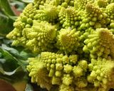 Foto del passaggio 1 della ricetta #Cavolfiore #romano con #pomodorini #secchi bio