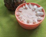 A picture of step 5 of Sitaphal Basundi & Kulfi.