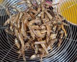 Foto langkah ke 1 dari resep Tumis Ikan Teri Terasi.