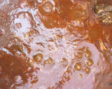 Cookpad nagykövetek marhapörköltje recept fázis 6 fotója