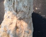 A picture of step 5 of Rustic Loaf.