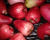 Foto langkah ke 1 dari resep Rujak Jambu lobak.