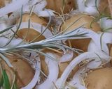 Foto del paso 6 de la receta: Papines, tomillo y romero (hierbas en la cocina)