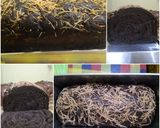 Foto langkah ke 5 dari resep Roti Tawar Coklat Chocco Chips.