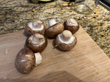 Pepper and salt night market chestnut mushroom 🍄