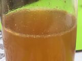 Kombucha: bebida fermentada