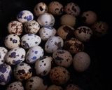 Hình bước làm 2 của món Bún tôm giò heo nấm rơm