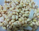 Foto langkah ke 3 dari resep 331. Kacang Kedelai Goreng untuk Cemilan atau toping Masakan.