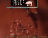 Foto del paso 4 de la receta: Pies de cerdo 🐽 Peus de porc 🐖