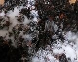 Gambar langkah 7 resipi Sambal Hitam Belimbing Buluh.