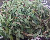 A picture of step 1 of Bathua Dal.