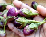 A picture of step 4 of Thorny Baby Eggplant Curry.