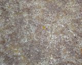 A picture of step 9 of Cheese Pie with Shredded Phyllo Dough.