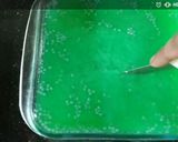 A picture of step 13 of Kiwi Agar agar.