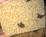 Foto del paso 6 de la receta: Pan de centeno integral con pasas de 🍇