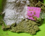 Foto del paso 3 de la receta: Pizza integral con brócoli🥦