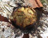 Foto del paso 5 de la receta: Cebolla asada! 👍🏽