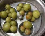 நோய் எதிர்ப்பு சக்தி அதிகரிக்கும் நெல்லி விருந்து ரெசிபி ஸ்டேப் 1 புகைப்படம்