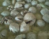 Foto langkah ke 3 dari resep Bakso ala mama purdani.