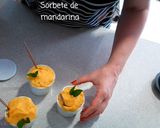 Foto del paso 4 de la receta Sorbete de Mandarina sin Azúcar de Paufeel