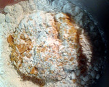 A picture of step 1 of pork chops.