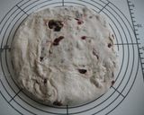 A picture of step 5 of Whole Wheat Berry Pain de Campagne.
