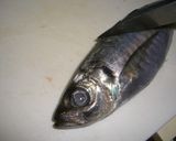 A picture of step 2 of Horse Mackerel Tartare.