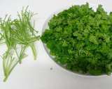 A picture of step 1 of Drying and Storing Parsley.