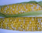 A picture of step 6 of How to Boil Corn on the Cob.
