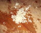 Foto del paso 1 de la receta: Salsita de ajo