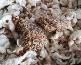 Foto del paso 3 de la receta: Hojaldre de pollo a la mostaza