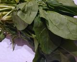 Foto del paso 1 de la receta: Espinacas: corte chiffonade