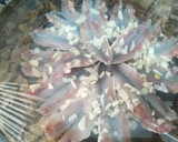 Foto del paso 3 de la receta: Boquerones fritos al limón