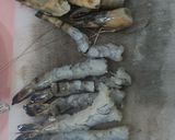 Foto langkah ke 1 dari resep Udang Krispi.