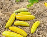 Hình bước làm 1 của món Dưa Bở Dầm Đá