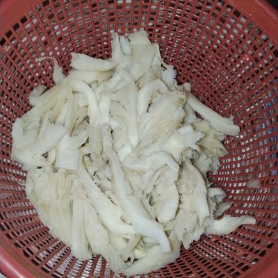 Langkah 2