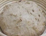 A picture of step 9 of Walnut & Raisin Pain de Campagne.