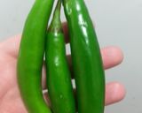 A picture of step 1 of Salsa macha.