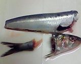 A picture of step 1 of Eat Them Up, Bones and All Sardines and Umeboshi Simmered in a Pressure Cooker.
