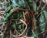 Hình bước làm 1 của món Rau dền chấm nước ruốc