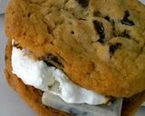 A picture of step 5 of Chocochip S'Mores.