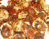 Foto langkah ke 7 dari resep Kerang Saos Tiram.
