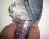 A picture of step 19 of Horse Mackerel Tartare.